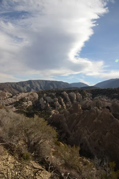 DSC_6233 (Large).JPG